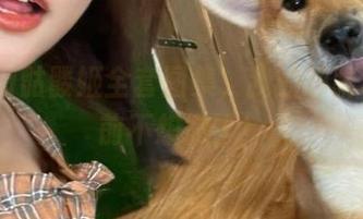 roroki骷髅姬全套图集，我的眼睛已经提前不想撤了！